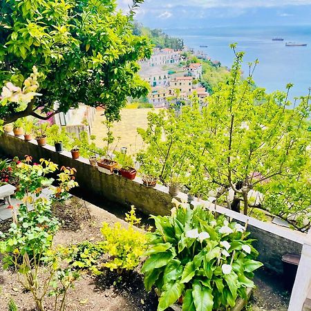 Borgo Virginia - Sea View In Amalfi Coast Apartment Vietri Ngoại thất bức ảnh