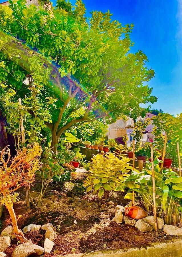 Borgo Virginia - Sea View In Amalfi Coast Apartment Vietri Ngoại thất bức ảnh