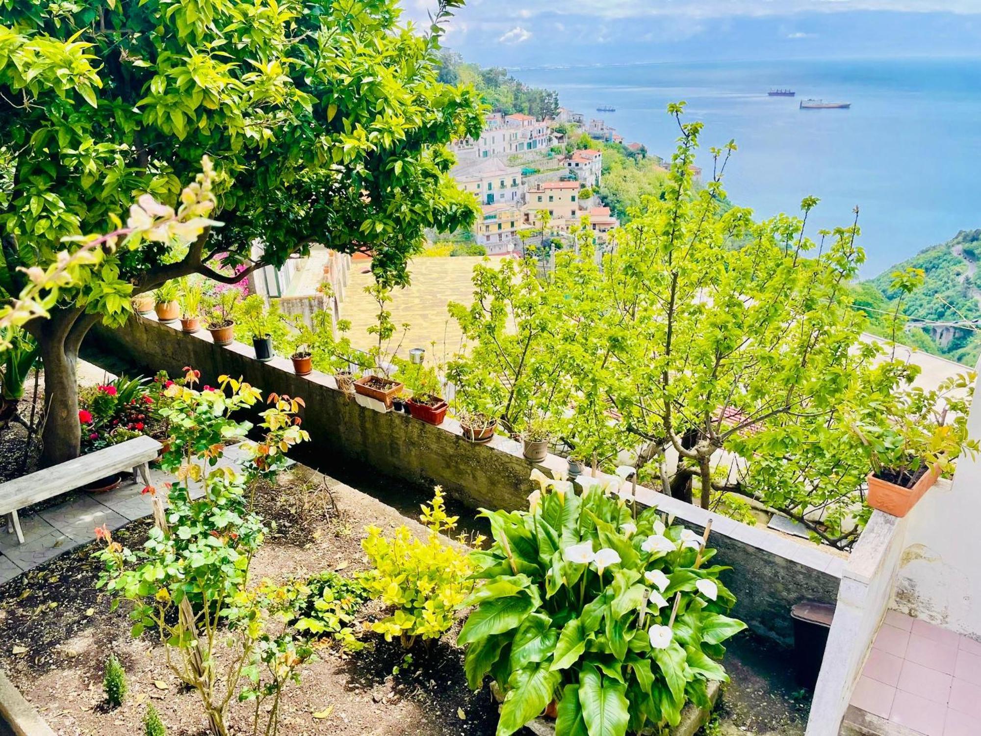 Borgo Virginia - Sea View In Amalfi Coast Apartment Vietri Ngoại thất bức ảnh