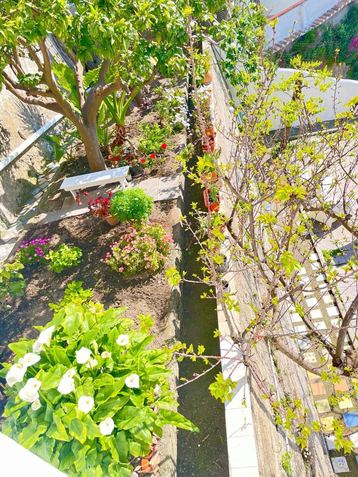 Borgo Virginia - Sea View In Amalfi Coast Apartment Vietri Ngoại thất bức ảnh